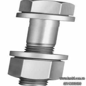 Bulon cường độ cao F10T