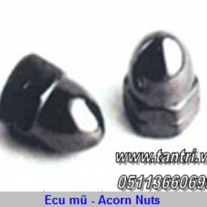 Ecu mũ - Acorn Nuts